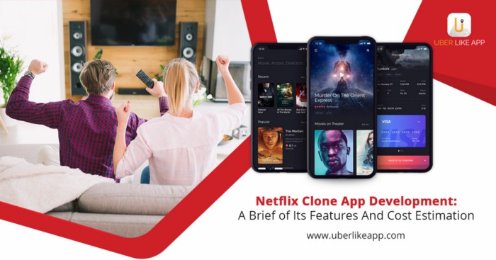 Enter the lucrative OTT business with our Netflix Clone - Cover Image
