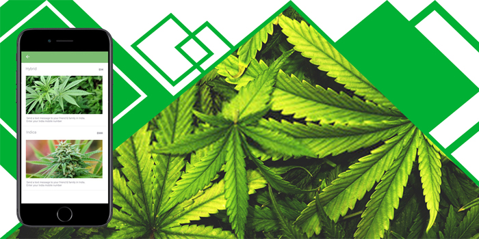 Uber for cannabis delivery app - Cover Image