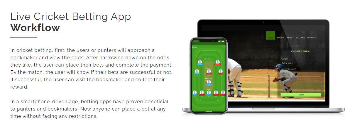 Cricket Betting Software - Cover Image