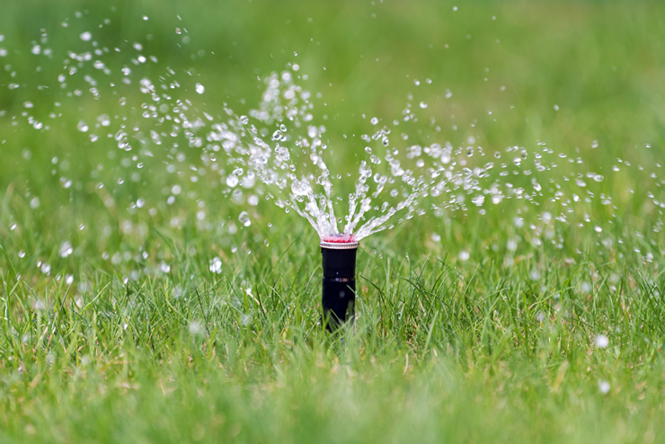 Evergreen Sprinkler and Landscaping Services - Cover Image