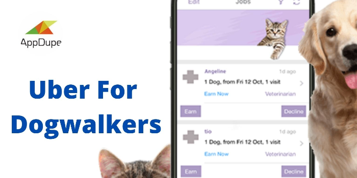 Revolutionize The Pet Care Industry With Dogwalking App Development - Cover Image