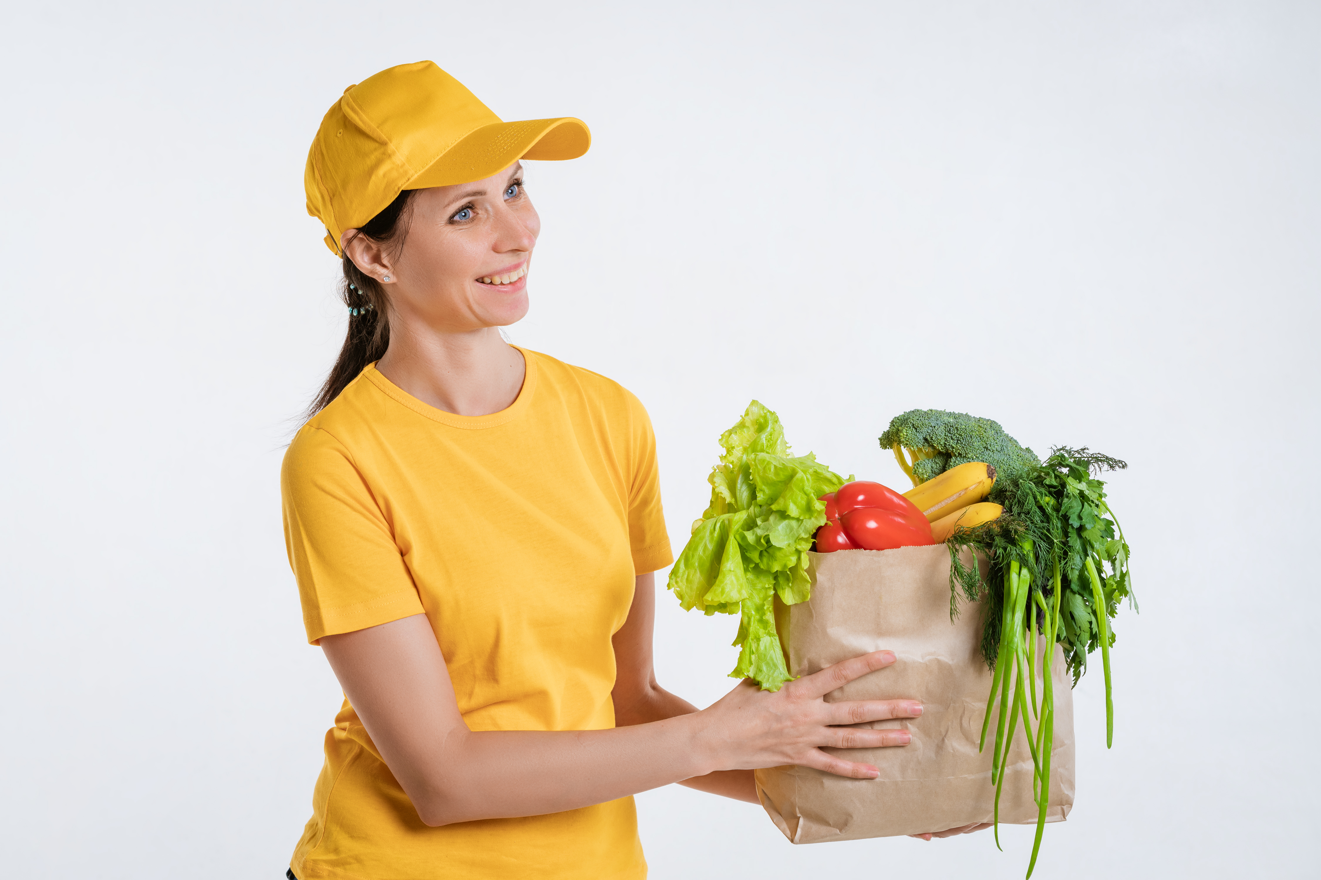 The Grocery Delivery app is a popular way to increase your company's activities. - Cover Image