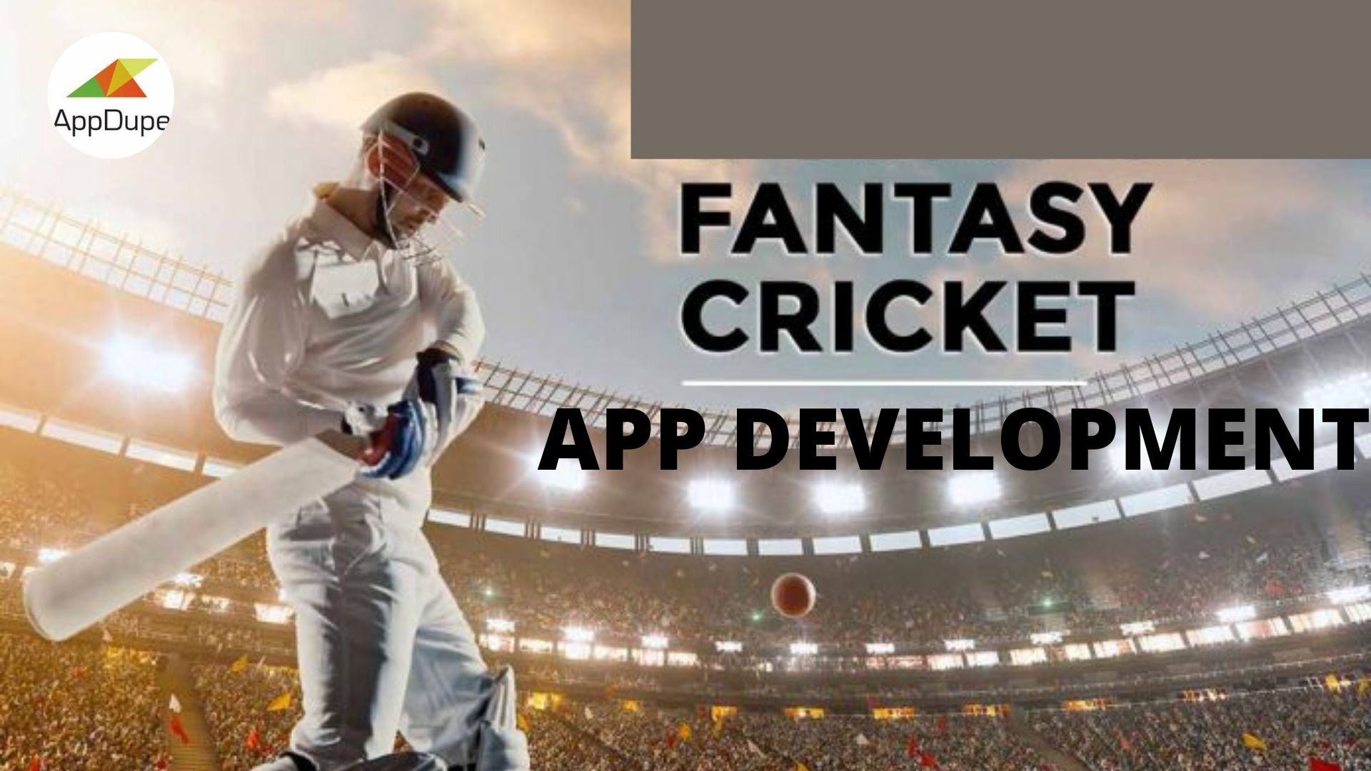 Increase the excitement of fans via fantasy sports software development - Cover Image