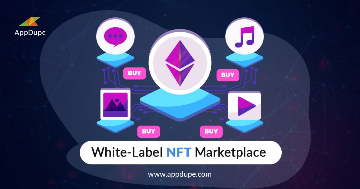 White-label NFT platform - Cover Image