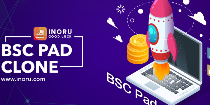 BSCPad Clone - A Well-Crafted Decentralized Fundraising Platform - Cover Image