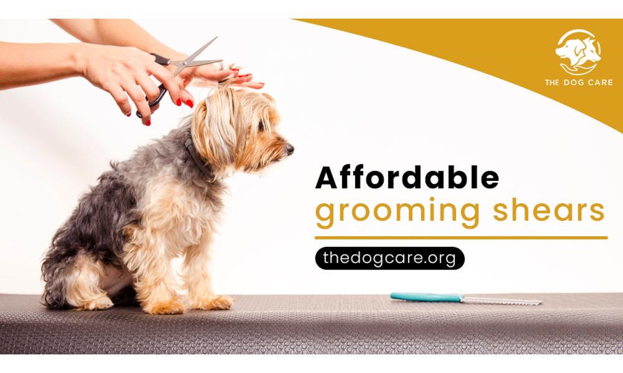 The Dog Care - Cover Image