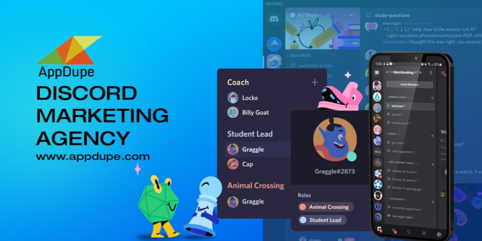 Discord Marketing Services for Your First-time Venture! - Cover Image