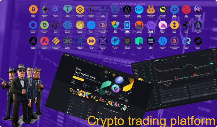 Febit Digital Currency Exchange Platform - Cover Image