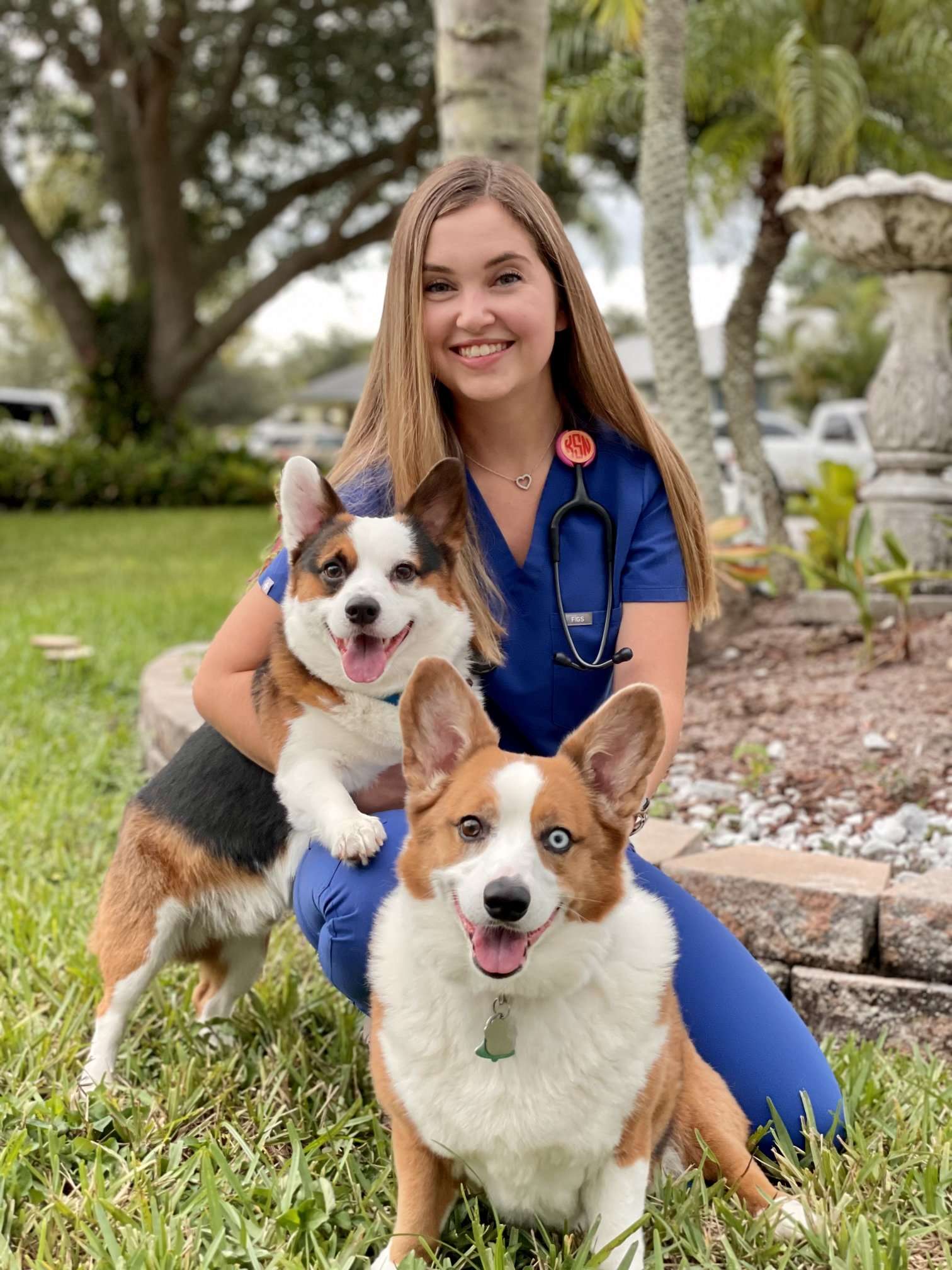 Boulevard Animal Hospital - Cover Image