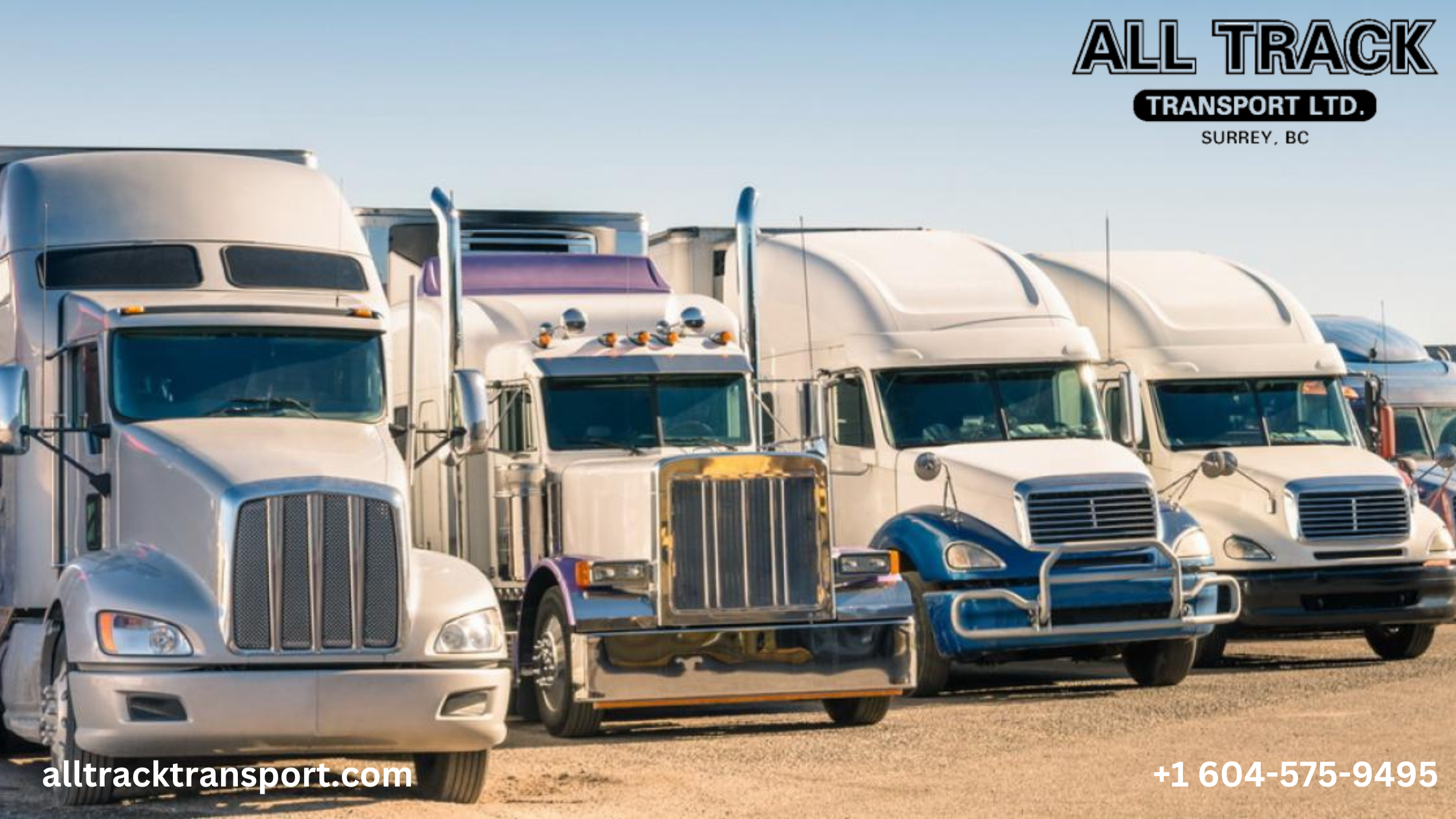All Track Transport - Cover Image