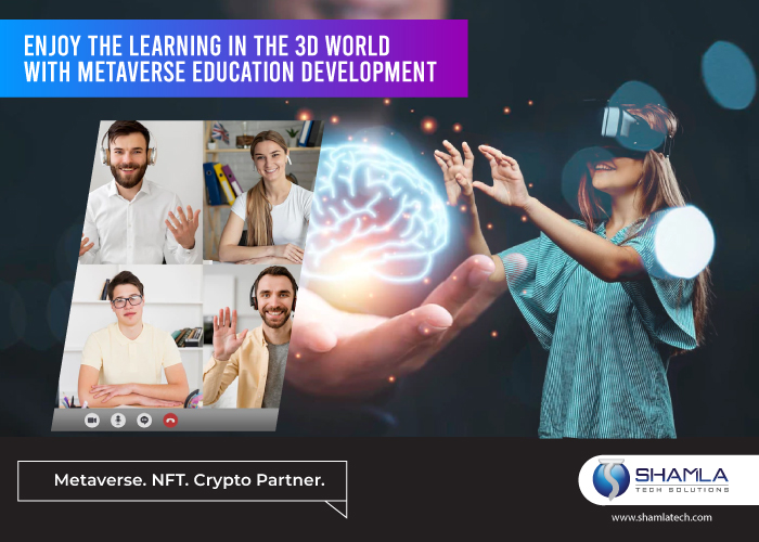 Metaverse Real Estate Development - Cover Image