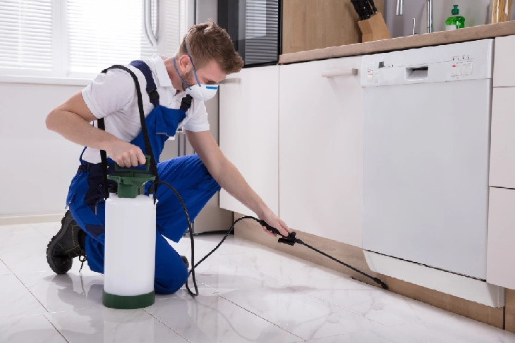 Bonita Springs pest control companies - Cover Image
