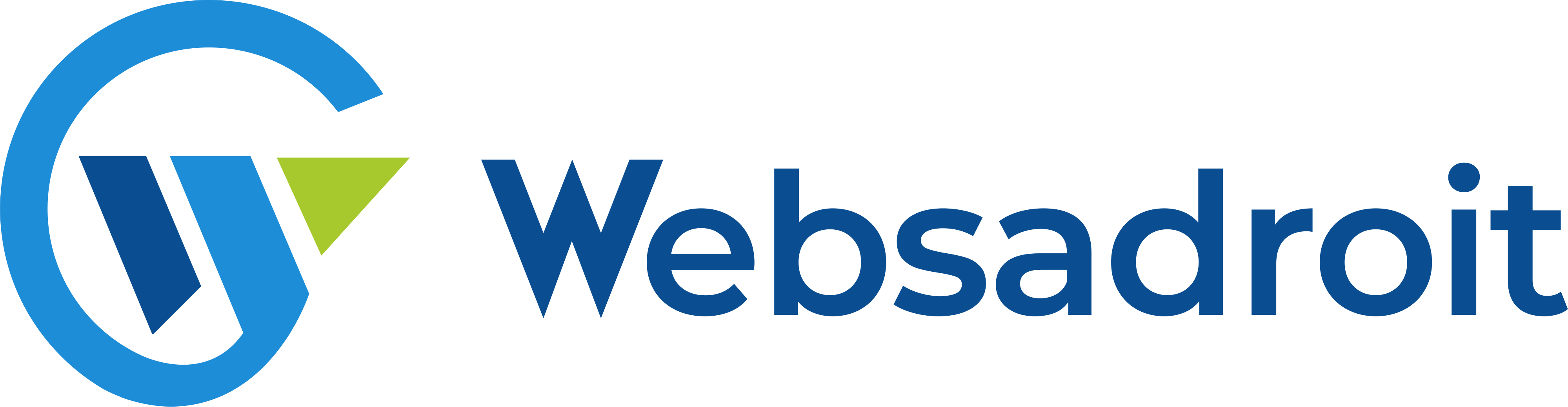 Websadroit - Cover Image