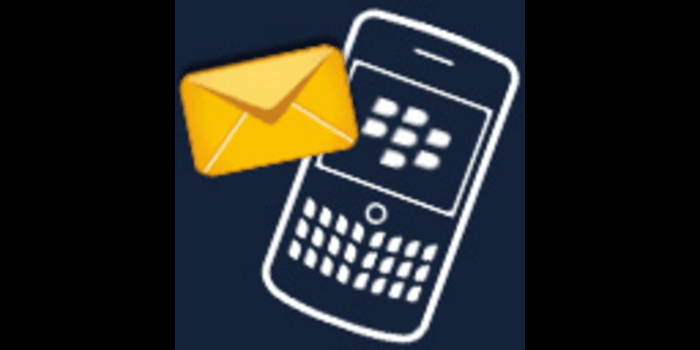 Blackberry SMS Text Messaging Software - Cover Image