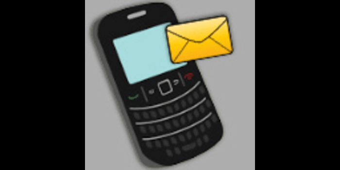 SMS Marketing Blackberry Mobile - Cover Image