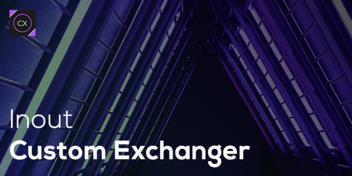 Inout Custom Exchanger - Cover Image
