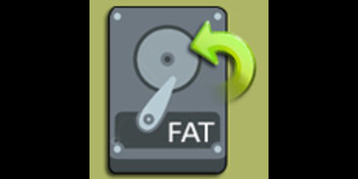 Fat Data Recovery - Cover Image