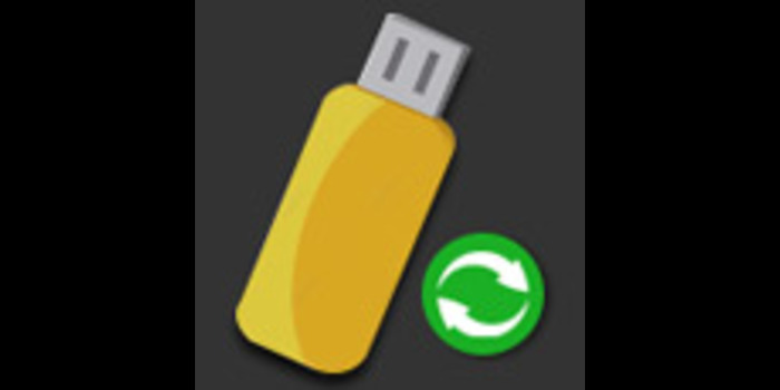 USB Data Recovery Professional - Cover Image