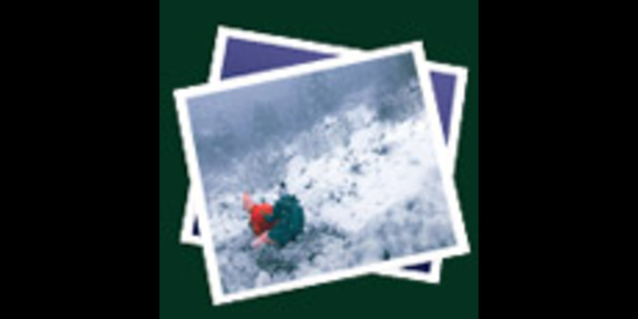 Digital Image Recovery Software - Cover Image