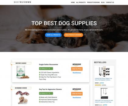 WordPress Product Review Theme - Screenshot 2