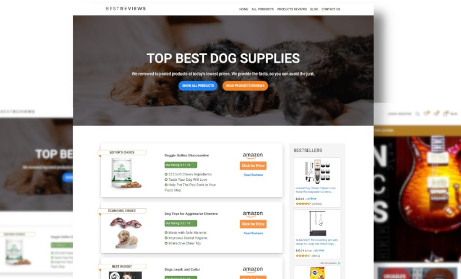 WordPress Product Review Theme - Screenshot 1