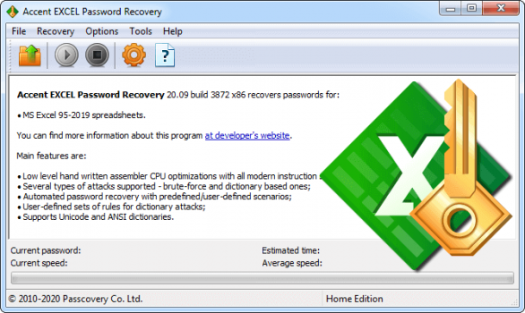 Accent EXCEL Password Recovery - Screenshot 1