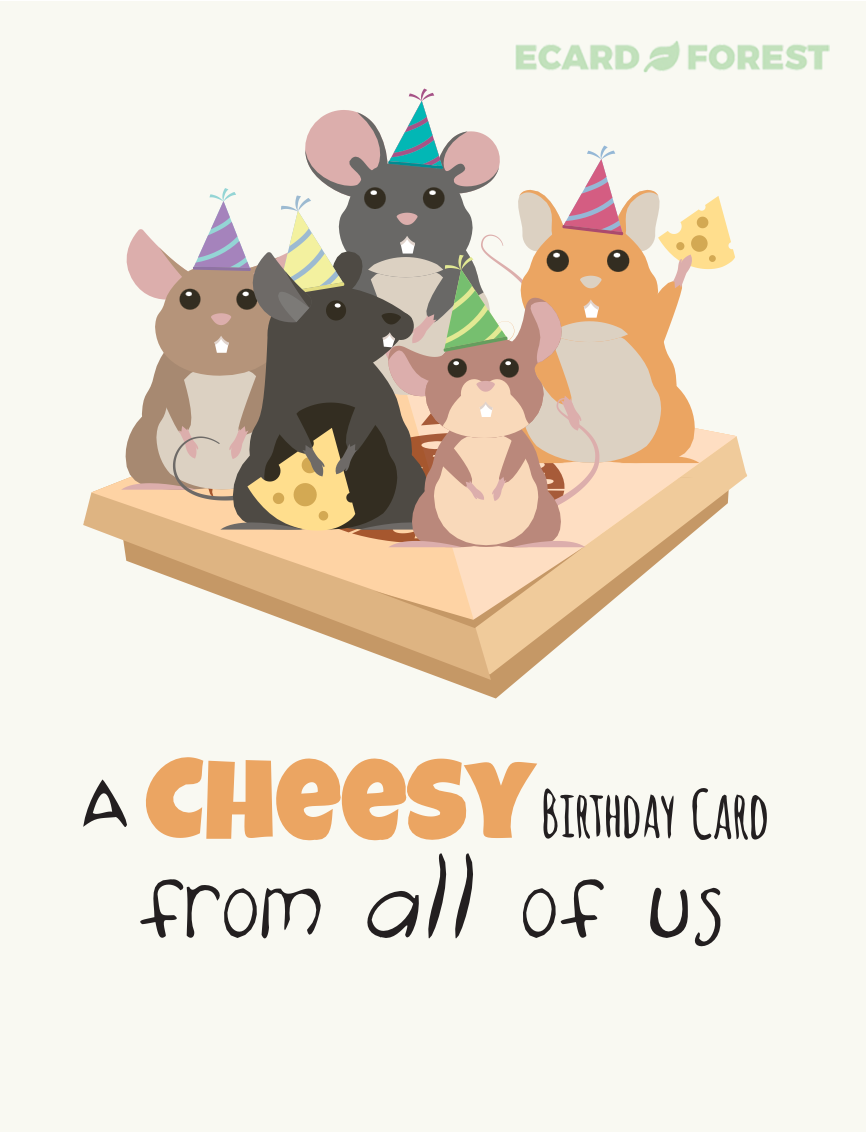 EcardForest - Group Ecards - Screenshot 1