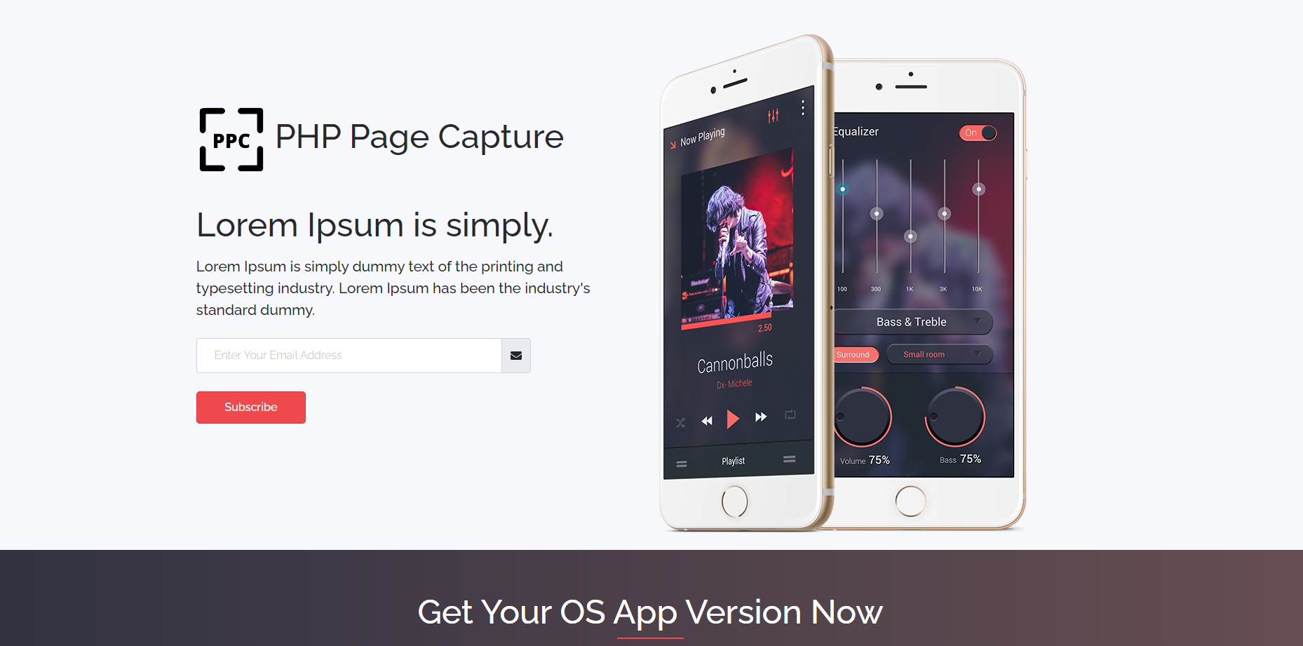PHP Page Capture - Screenshot 2