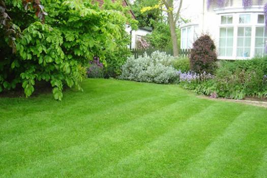 Visit Listing - Evergreen Sprinkler and Landscaping Services Evergreen Sprinkler and Landscaping Services - Screenshot 10
