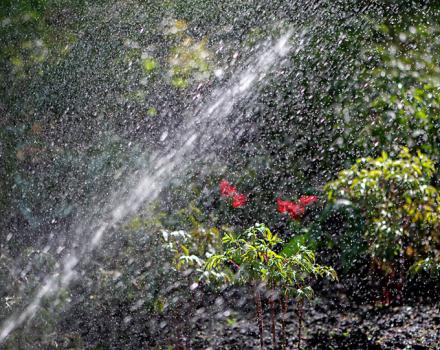 Visit Listing - Evergreen Sprinkler and Landscaping Services Evergreen Sprinkler and Landscaping Services - Screenshot 8