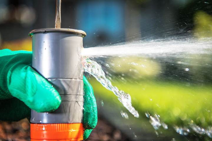 Evergreen Sprinkler and Landscaping Services - Screenshot 3