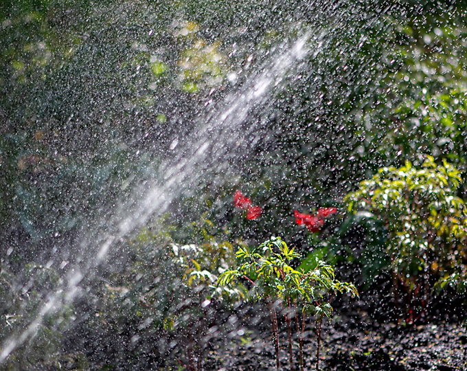 Evergreen Sprinkler and Landscaping Services - Screenshot 8