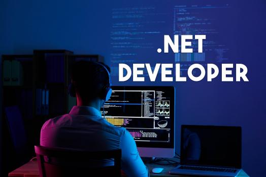 Hire Asp Net Developer India - Screenshot 1