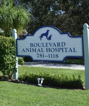 Visit Listing - Boulevard Animal Hospital Boulevard Animal Hospital - Screenshot 1