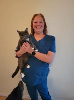 Visit Listing - Boulevard Animal Hospital Boulevard Animal Hospital - Screenshot 2