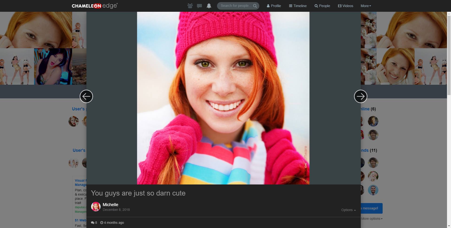 Chameleon Dating Software - Screenshot 1