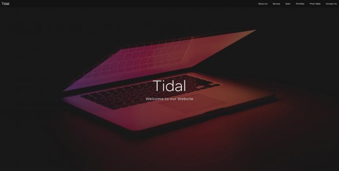 Tidal HTML/PHP Website Template - Screenshot 1